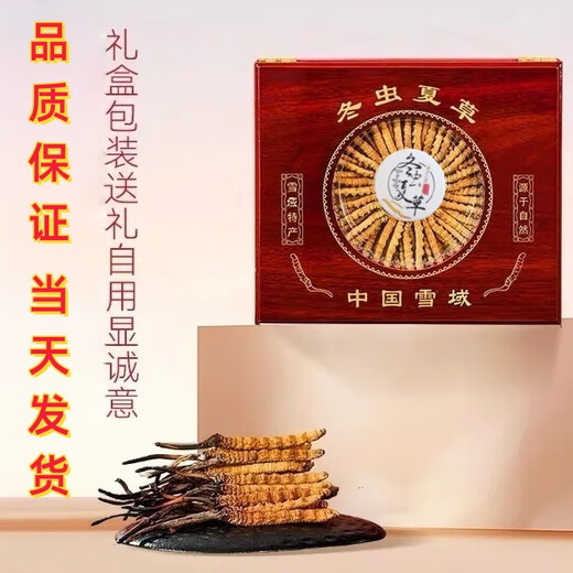 
Luzhangtang Cordyceps gift box is authentic Tibetan snow mountain Cordyceps gift gift quality guaranteed to ship on the same day. Tibet Naqu fine cordyceps 2 pieces 1 gram 50 pieces