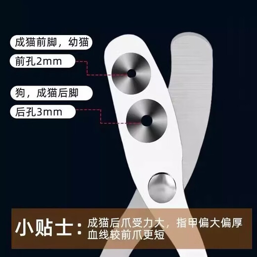 Cat nail scissors, special anti-scratch nail scissors, nail clippers, cat paws, rabbit pets, dog supplies, large and small double holes, white and orange*1 piece, new store special offer