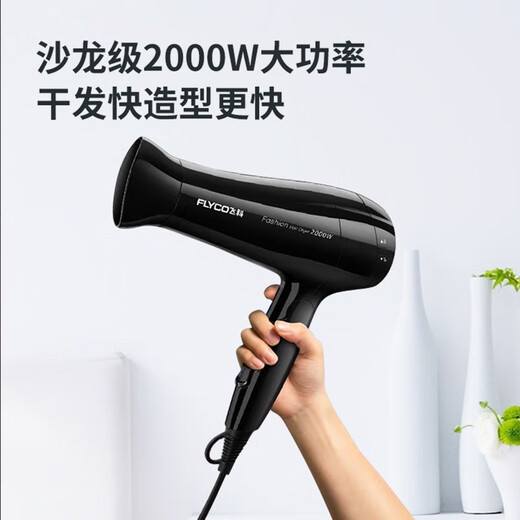 Drei-Wahl-Haartrockner Heimlosenwohnheit Student negativer Ionenpflege Haartrockner Big Wind Power offiziell 2023 Modell Feeike FH6296 Free Roll Comb Set