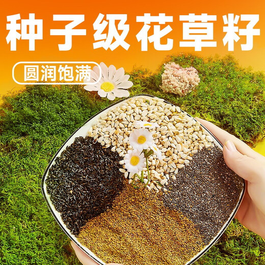YEE full price peony parrot special food parrot feed bird food probiotic nutritional bird food feed 1kg