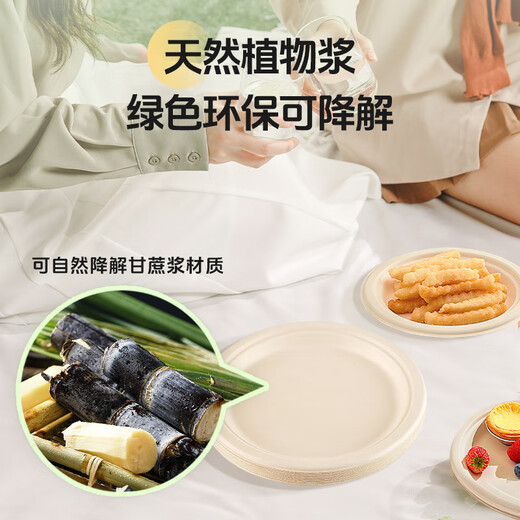 Jielibang disposable dinner plates large 9 inches - 50 pieces food-grade sugar cane pulp dinner plates outdoor camping picnic dinner plates