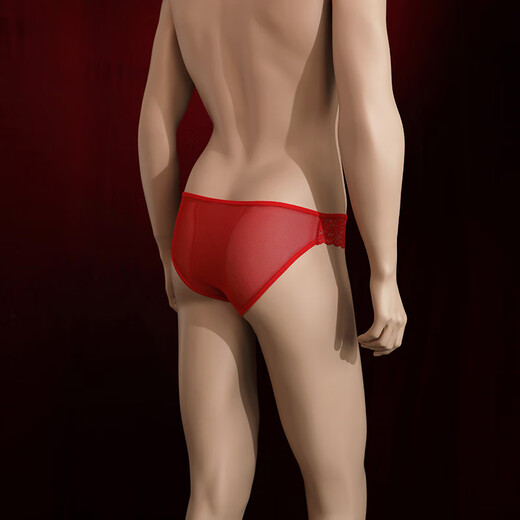 Shan Nanwei men's crotchless lace underwear sexy pure desire hot special briefs shorts thong men white