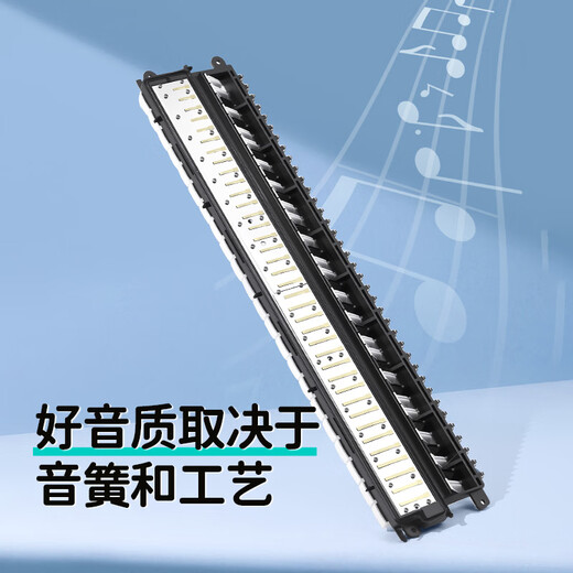 奇美37键引领者课堂推荐口风琴（绿色、皮革包、配教材、学校专用）