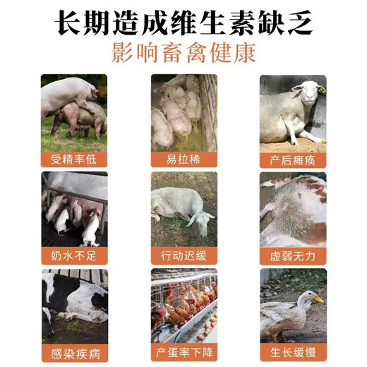 Xinong Taigao veterinary feed additive 250g quick amino electrolytic multi-dimensional pig, beef, sheep and chicken supplement vitamins and trace elements price of 10 bags