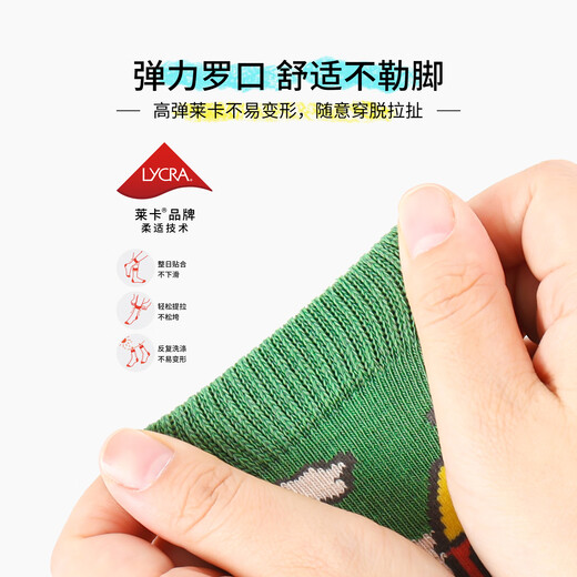 Bambi Children's Socks 2025 Girls' Socks Autumn and Winter Cotton Socks for Big and Big Children Spring and Autumn Children's Boneless Mid-Tube Socks BB2553 Autumn and Winter Children's Socks 5 pairs 3-5 years old Recommended foot size 21-26 16-18