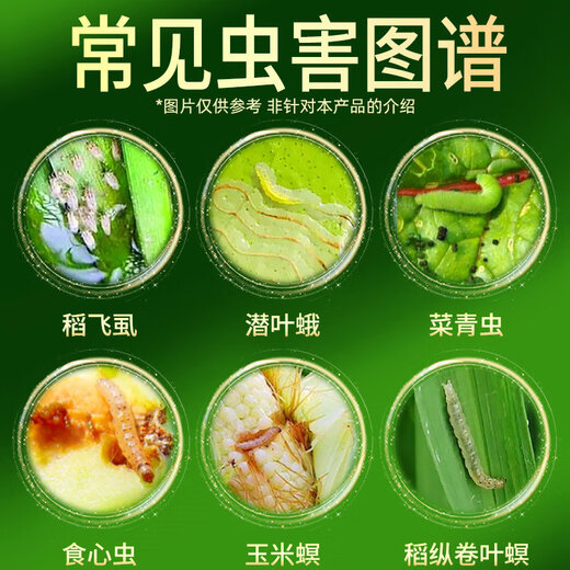 Hulian Plant Protection 20% chlorantraniliprole indoxacarb fruit tree vegetable armyworm cabbage moth rice leaf roller pesticide insecticide