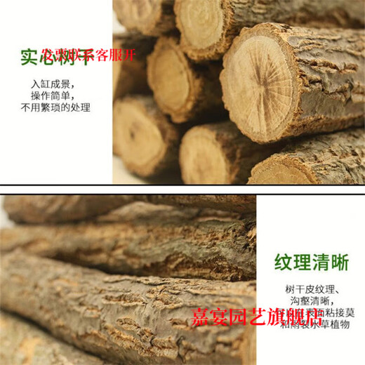 Champagne trunk underwater forest ornaments decoration pure natural water and land tank rainforest tank landscaping climbing pet turtle sun terrace 2-4 cm in diameter and 20 cm in length one piece