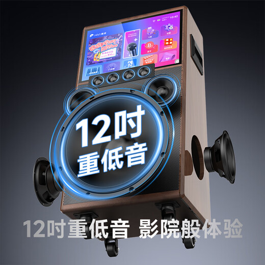 HiVi home KTV audio set outdoor square dance audio with display screen home TV karaoke special speaker karaoke machine microphone all-in-one machine MS129