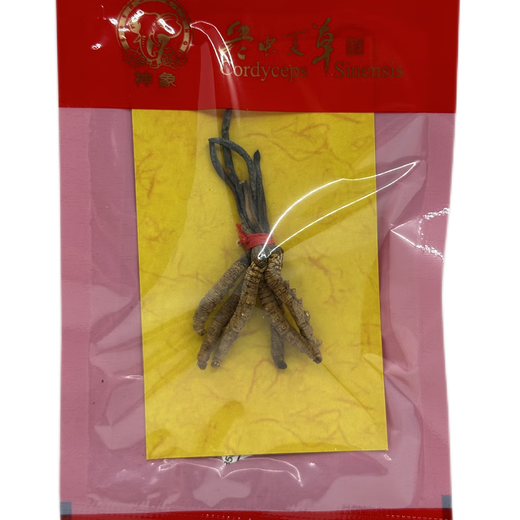 Попробуйте свежевыполненные Cordyceps Sinensis Высоко высокого качества для самоуправления подарки 1 грамм