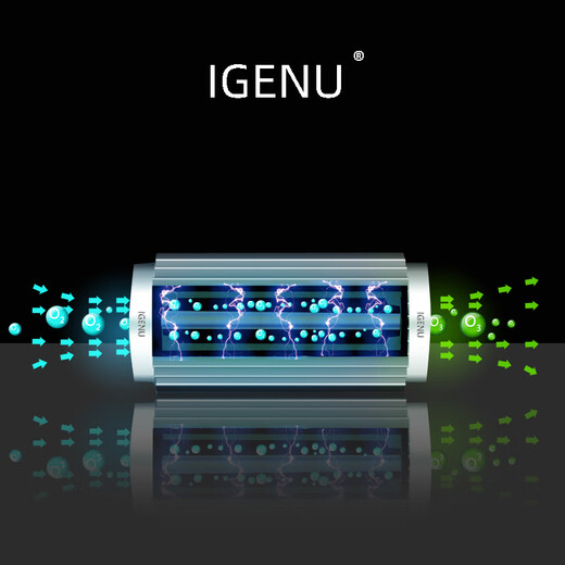 Aijenu air purification car interior odor removal ozone disinfection machine active oxygen machine sterilization formaldehyde removal benzene generator 10g upgraded car special