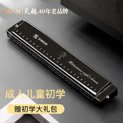 天鹅（SWAN）口琴24孔复音C调初学者学生儿童成人自学入门开学季礼物 24孔C调雅典黑