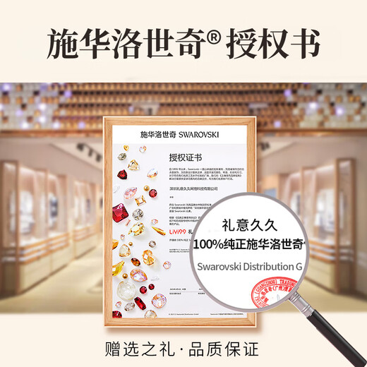 Gift for a long time Swarovski zirconium 999 pure silver necklace women's 2025 new birthday gift ladies girl girlfriend pendant