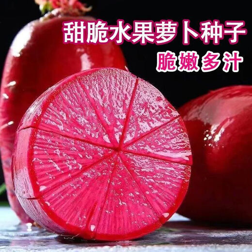 Tianfen Pineapple Fruit Radish Seeds Purple Beauty Radish Seeds Red Heart Red Skin Farm Fresh Vegetable Seeds in Autumn and Winter Seasons Pineapple Fruit Radish Seeds 300 capsules/1 pack + fertilizer