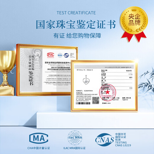 China Gold (CHINA GOLD) Love Platinum Necklace for Women Platinum Pendant Birthday Gift for Girlfriend and Wife Wedding Anniversary Practical Gift for Girl Platinum Everlasting Love Pendant + Platinum Flash O Chain - Pricing