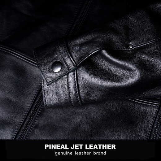 PJL2025春季新款男款商务简单翻领皮衣皮外套 黑色 M (140斤以下)