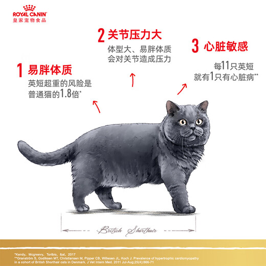 Royal Cat Food British Shorthair Adult Cat Food BS34 General Food Rich Hair and Strong Body Staple Food Grade General Food 1 Year Old and Over BS34 British Shorthair Adult Cat 2kg