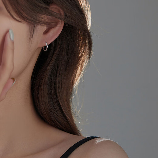 愄汧999 Silver Needle Earrings Earrings Hoop Earrings Birthday Gifts Girls 2025 New Jewelry Ornaments Earrings Men Twist Earrings Silver Pair