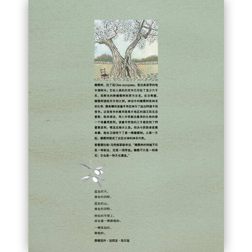 Reconnaissez la version authentique Tree Andersen Awersen Award Books, littérature, art, science, popularité, livres d'images pour adultes, vagues, sn3893 livre unique, SN9507
