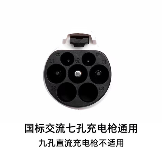 Shantou Lincun Charging Gun Head Lock Anti-theft Pile Line Hook Hanger Seat Fixed Bracket Electric Vehicle Socket New Energy Hanging Line Excellent Top Combination Lock
