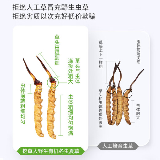 Grass Digger [Really] Wild Cordyceps sinensis Tibetan wild Cordyceps health tonic gift box gift for middle-aged and elderly people. Grade 2 grass 1 gram three 30 grams gift box Wild Cordyceps sinensis