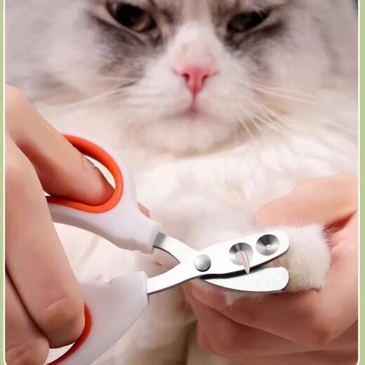 Cat nail scissors, special anti-scratch nail scissors, nail clippers, cat paws, rabbit pets, dog supplies, large and small double holes, white and orange*1 piece, new store special offer