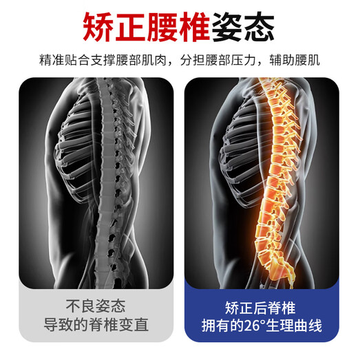 LP护腰带腰间盘突出医用男士专用腰椎间盘劳损女士超轻薄款透气夏季