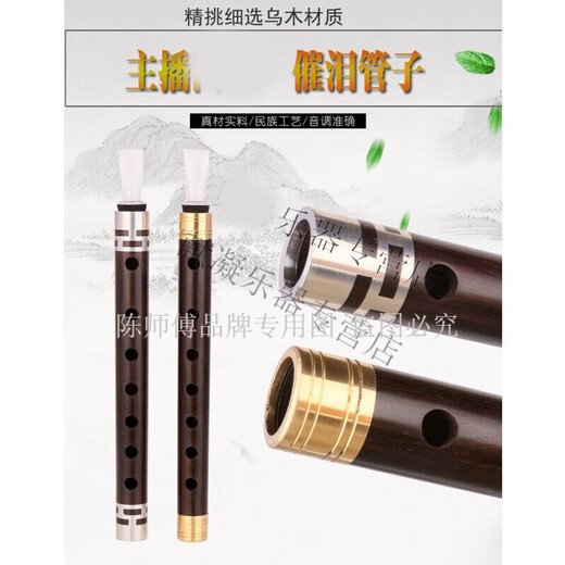 陈师傅催泪管乌木管子管乐乐器简单易学适合自学的初学者成人演奏 镀金箍D调+树脂哨片2个