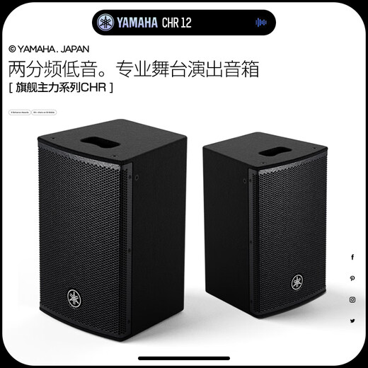 Yamaha (YAMAHA) CHR10/12 Original imported professional stage audio passive karaoke speaker CHR12