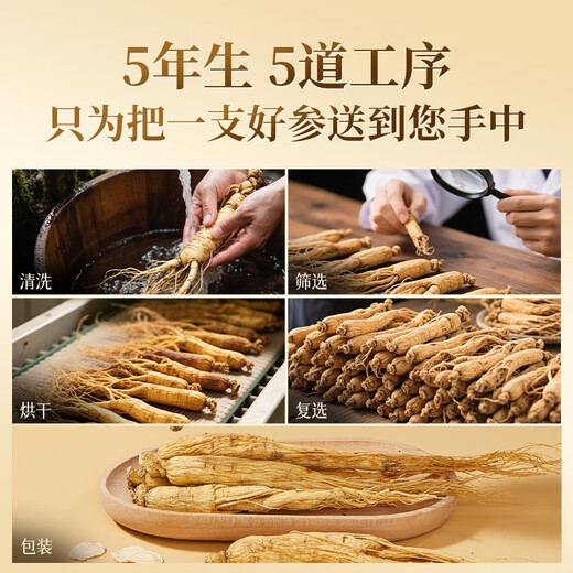Li Shizhen Changbaishan Ginseng 50G 5 Caja de regalo de materiales medicinales para la salud del vino a 5 años para ancianos regalos prácticos para padres y personas mayores