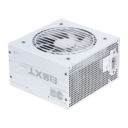 SAMA Platinum XT1000W weißes ATX3-Computer-Netzteil 80PLUS/PPLP-Doppelplatin-Zertifizierung/12V-2x6/Taiwanischer großer Kondensator/geprägtes Kabel/stabilisierte 5090D-Grafikkarte