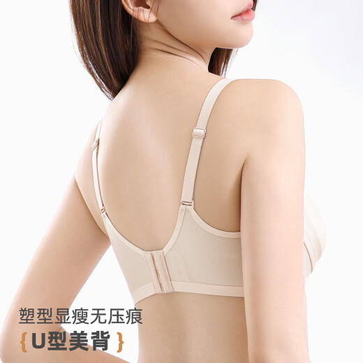 雅黛俪（ALDOLA）轻薄文胸夏季清凉聚拢美背无痕大胸显小隐形果冻条软支撑 裸肤粉 L