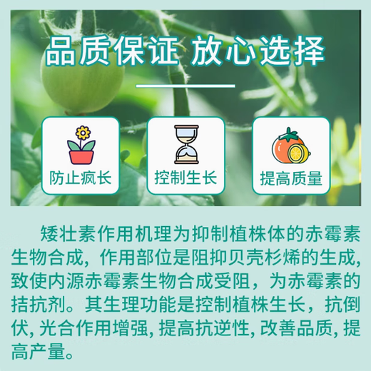 Guoguang Yiling 50% chlormequat plant cotton anti-lodging long corn control leggy wheat control dwarfing regulator 500ml