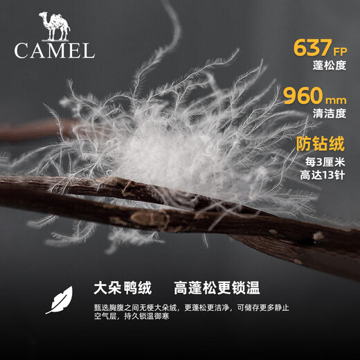 CAMEL Little Sun-Graphene Outdoor Down Jacket Same Style Thick Warm Bread Jacket for Men and Women A33CAPN163J