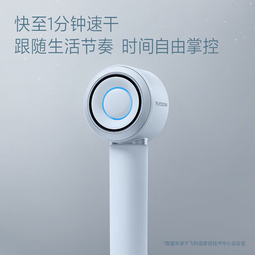 FLYCO high-speed hair dryer for home dormitory, portable noise reduction, hair care, strong wind, holiday birthday gift for girlfriend and wife, hair dryer with intelligent temperature control FH6371, exclusive flagship hair dryer 6371 gray, magnetic air nozzle + gift bag