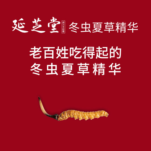 延芝堂冬虫夏草精华胶囊增强免疫力滋补菌丝体滋补保健礼盒特别礼赠套装 （0.4g*18粒/瓶*2瓶）特别礼赠装套装