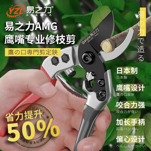 Yizhili pruning shears, special scissors for gardening branches, floral pruning, flower pruning scissors, fruit trees and flowers, guillotine type + imported large folding saw + waist box