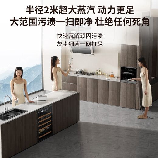 TINSSISY originated from Germany high temperature and high pressure steam cleaner portable sterilization kitchen range hood air conditioner multi-function cleaning machine small household all-in-one machine multi-function cleaning artifact German hot model-CCTV show-high voltage hybrid-frequency conversion energy saving