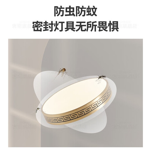 Leshi (NVC) 2025 Neue Deckendecke im Freien insektensichere wasserdichte Tür helles chinesische Villa Vollkupfer Eingangslicht Garten Terrasse Sonne X3891/Quadrat 30 cm/drei Farben Einstellbar