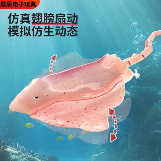 溥畔迷你型遥控魔鬼鱼仿真快艇潜水艇蓝鲸鱼儿童戏水上玩具充电动小船 金色 潜水鲸鱼-40mhz 标配充电-+遥控器电池+工具