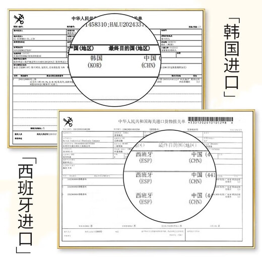 USVTHY Elastic Curl Moisturizing Curl Styling Anti-frizz Gel Water Hair Care Essence After Perm Care Fragrance Moisturizing Elastin 300ml*1