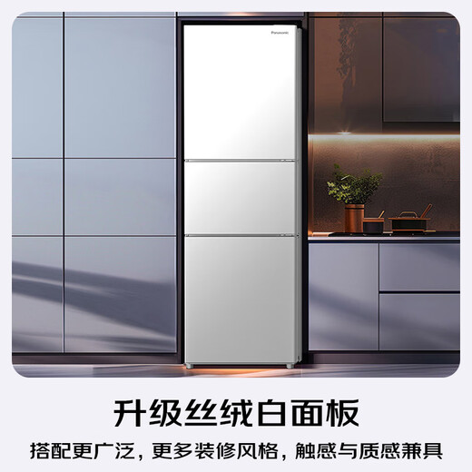 Panasonic (Panasonic) National Subsidy