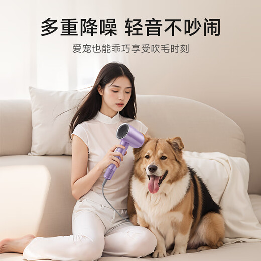 AUX household hair dryer high-speed 2400W high-power quick-drying hair dryer negative ion protection hair dryer blows strong wind for men and women only does not hurt the hair dryer gift purple