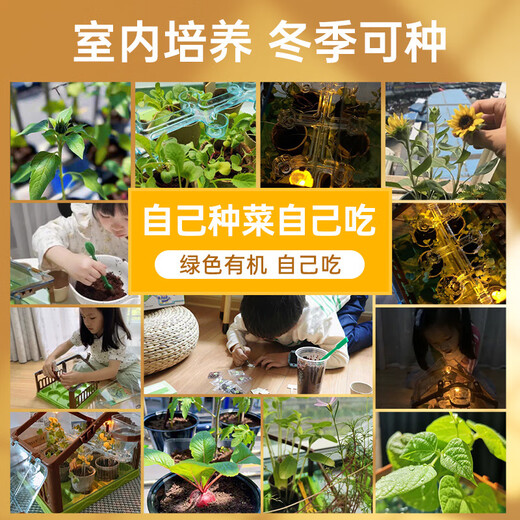 Regalos de cumpleaños para niños y niñas para niños 6 Estudiantes de la escuela primaria 8 Niñas 12 10 años Niñas Joyas prácticas 12 tipos de casas de plantación solar + sets de experimentos científicos