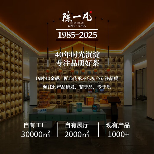陈一凡漳平水仙茶 手工茶叶浓香型乌龙茶新茶兰花香小饼茶250g