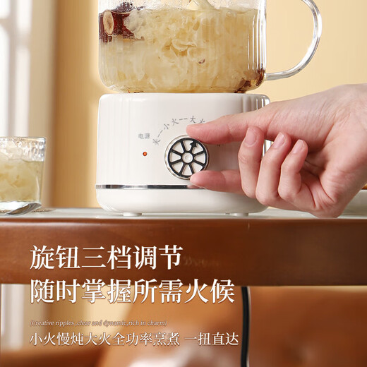 Health kettle, kettle, hot water kettle, thermostatic kettle, teapot, teapot, all-in-one, fully-glass, fully-automatic, small home, multi-functional office, large capacity, silver-plated 0.6L