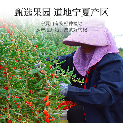 枸杞子宁夏特级500g正宗无染色红苟杞构纪茶无硫男肾干官方旗舰店 红枸杞袋装25g
