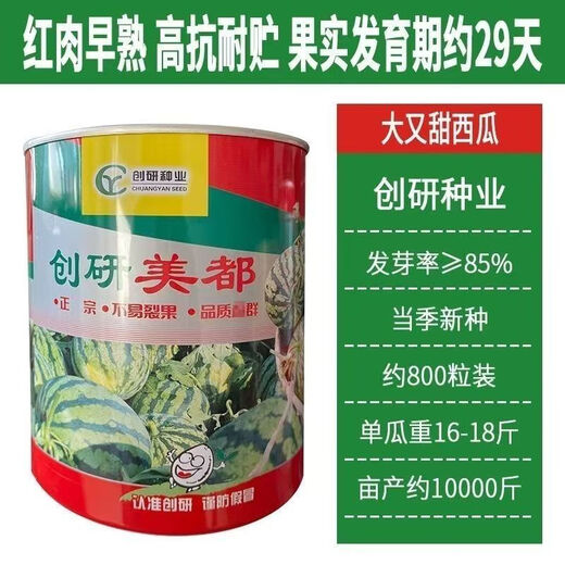 Store hot selling Chuangyan Meidu watermelon seeds with thin skin and few seeds, large fruit Kirin Sweet King seeds early maturing canned Chuangyan Meidu Kirin watermelon seeds base original delivery 1 can of about 800 seeds directly supplied from the base