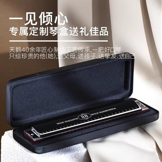天鹅德国进口音簧珍藏版复音口琴28孔高端送礼入门专业演奏级 【高端款】28孔复音A调+伴奏U盘