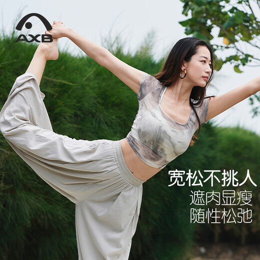 Aixiabu Aixiabu summer printed mesh new Chinese style yoga vest women's loose blouse Pilates fitness top A25203WH ink gray without bra M