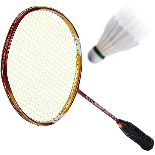 Yodiman Offensive Badminton Racket 4U Single Shot P9900